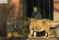 /album/zoo/img-0355-masolata-jpg/